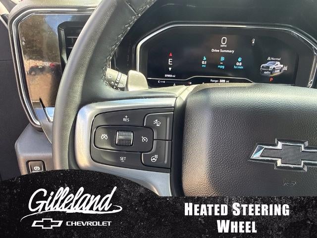 2024 Chevrolet Silverado 1500 LT Trail Boss - Photo 11