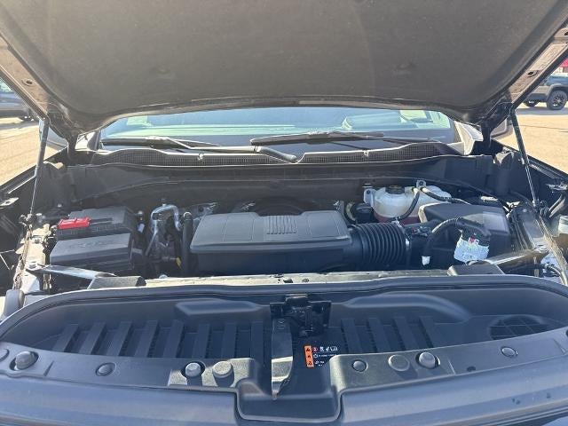 2024 Chevrolet Silverado 1500 Crew Cab Short Box 4-Wheel Drive LT Trail Boss