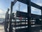 2024 Chevrolet Low Cab Forward 5500 HG 2WD Reg Cab 132.5"